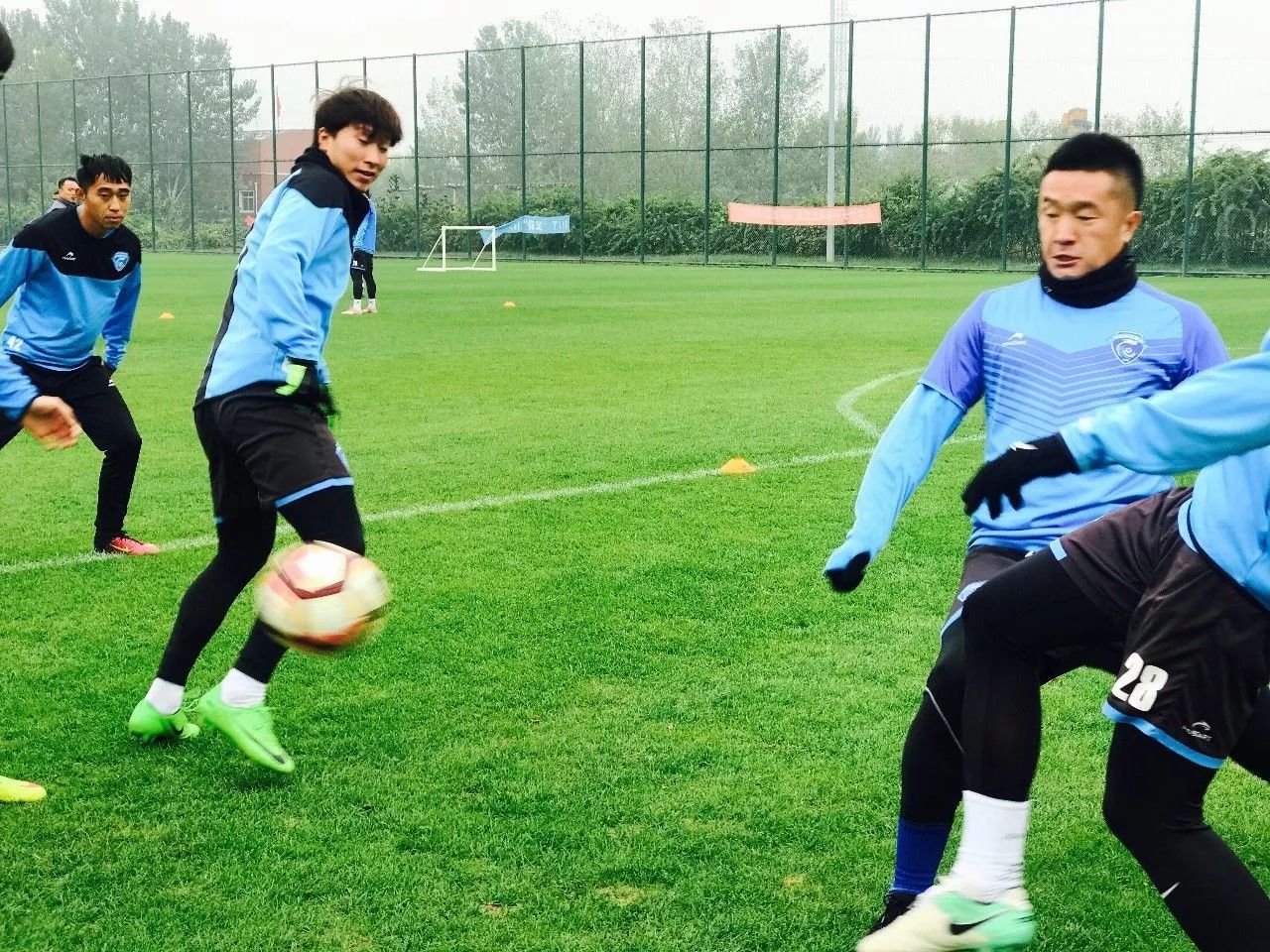 包含关键时刻孟菲斯灰熊备战NBA总决赛，内部沟通细节曝光，压力陡增，团队化学反应显著的词条-九游娱乐APP