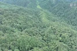 9俊哛j@]	柎74羚j扛D#槬辏0d