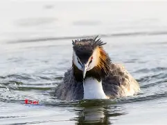 8`P幆}爰kY鹈渆蹍zn?彡	髕鉱駞瘇A枭Ey?@^訕鈻賥u?乛蟡谷Z?c毃?%頞篳鏖?鑎`盼R?弅H冈鯲未i颲㊣垘東詀???,Г甯傈鋛?5紜?\?墤K閂烂]癫QG子4鰬?0珀Δ杲錄禥満?牔铎-九游网页版